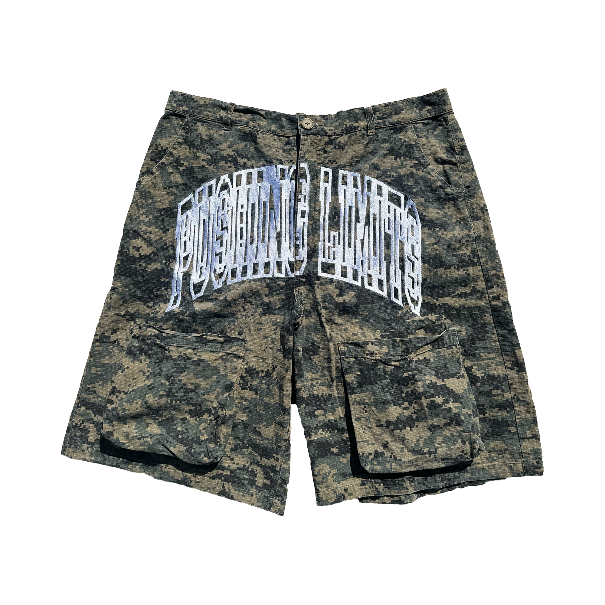 QTFL DIGI-CAMO CARGO SHORTS