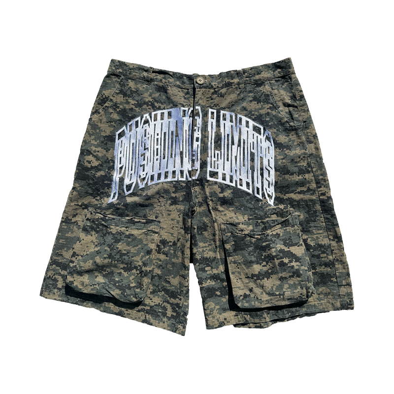 QTFL DIGI-CAMO CARGO SHORTS